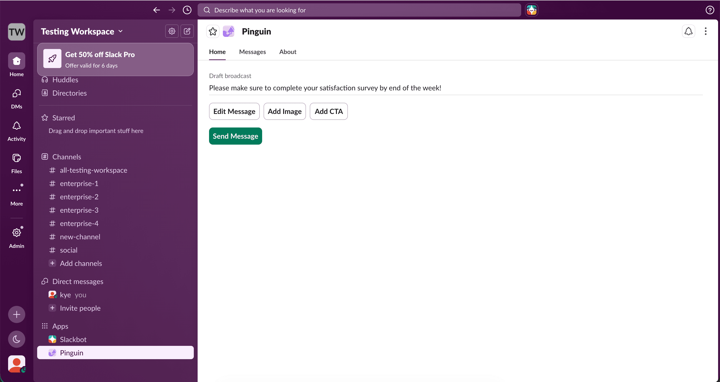 Direct message preview with options to add images or CTA buttons